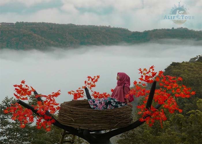 10 tempat wisata Hits kawasan mangunan Yogyakarta