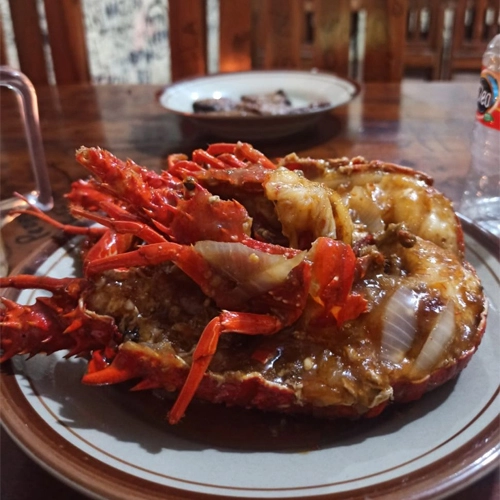 lobster pantai timang