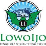 logo lowo ijo